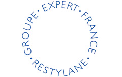 French Expert Group logo